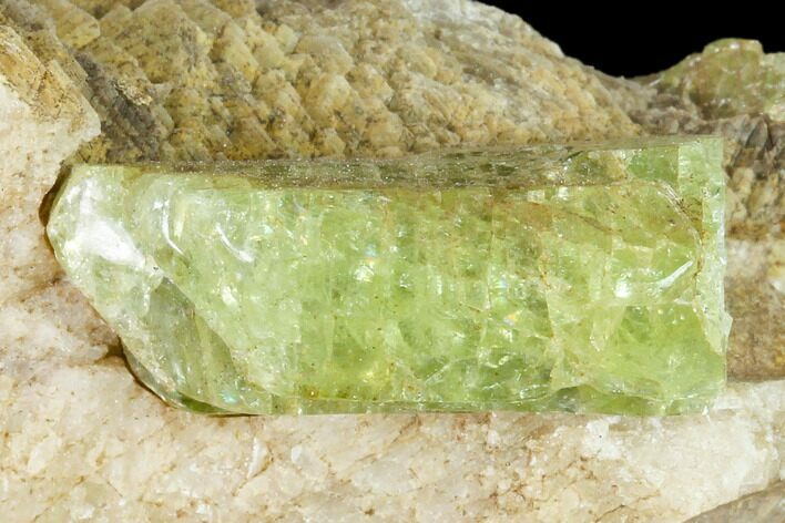 Yellow-Green Fluorapatite Crystals in Calcite - Ontario, Canada #137113